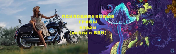 ешки Богданович