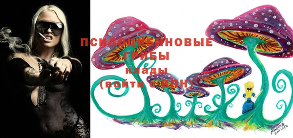 ешки Богданович