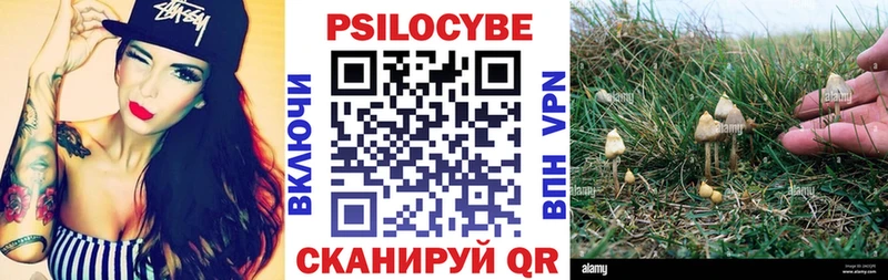 Купить закладки  Вольск  Галлюциногенные грибы прущие грибы 
